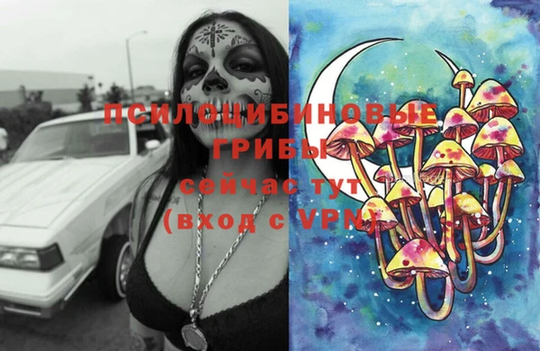 герыч Алзамай